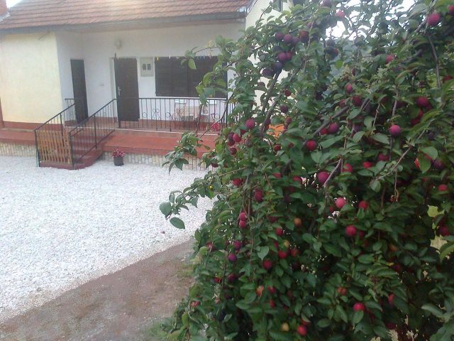 Beslagic Brdo Sobe Doboj Apartman Doboj
